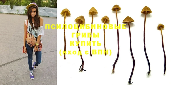 a pvp Сатка