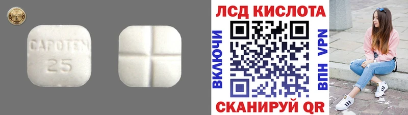 кракен рабочий сайт  Кингисепп  Лсд 25 экстази кислота 