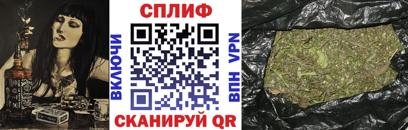 Марихуана сатива  наркотики  Кингисепп 